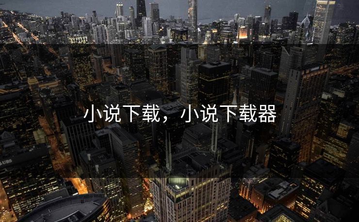 小说下载，小说下载器