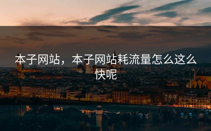 本子网站，本子网站耗流量怎么这么快呢